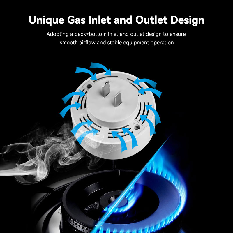 Mian Zigbee Gasdetector Tuya W - Smart Home Outdoor recensie en prijs
