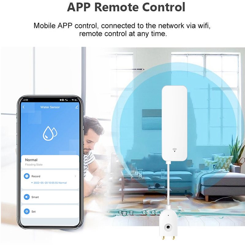 DTEN-Tuya WIFI slimme waterlek - Wifi Water Leak Detector recensie en prijs