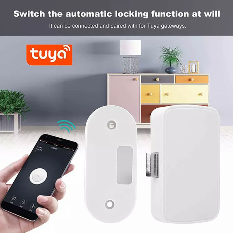 Tuya Smart Home archiefkastslo - Smart Home Furniture recensie en prijs