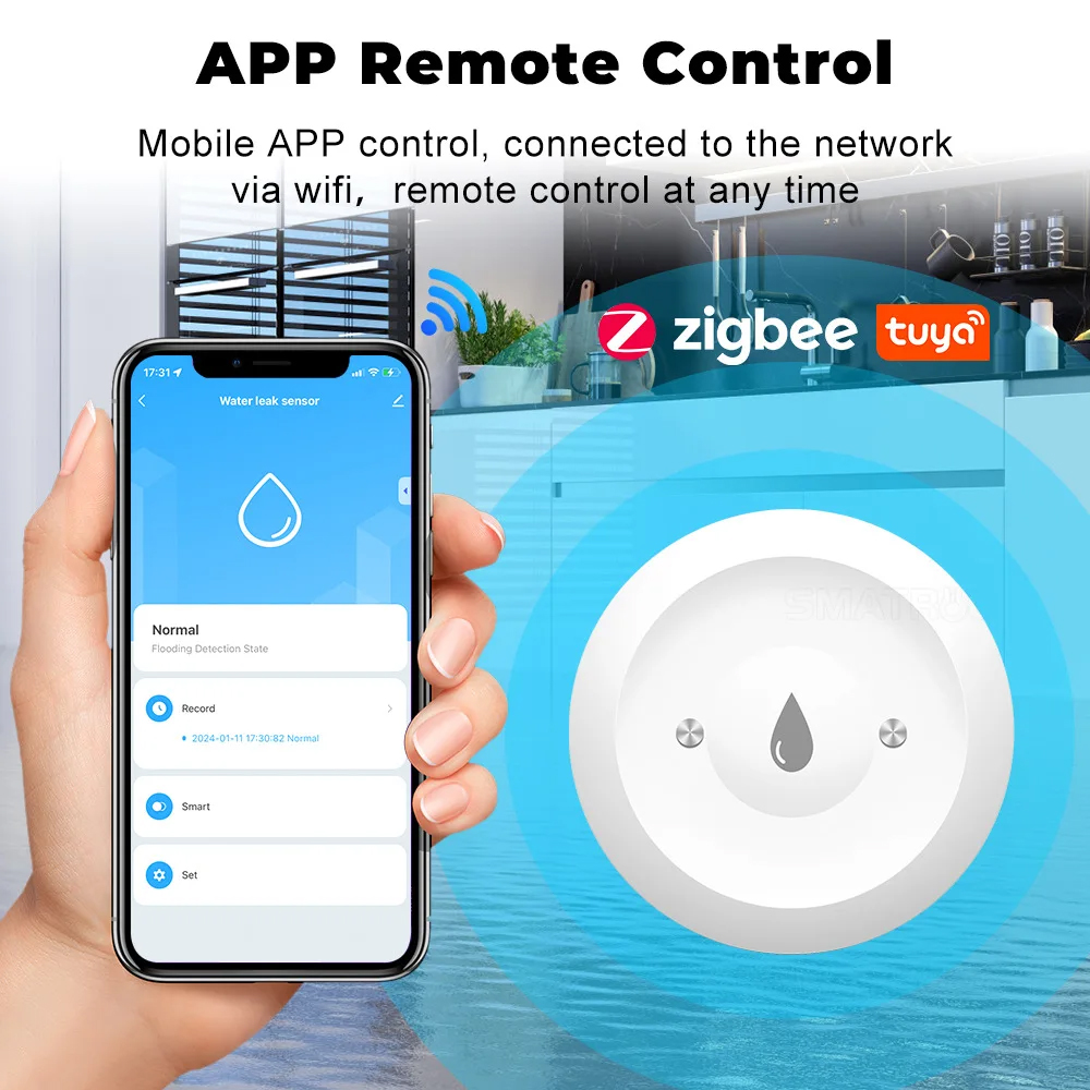 Tuya Zigbee Smart Water Immers - Wifi Water Leak Detector recensie en prijs