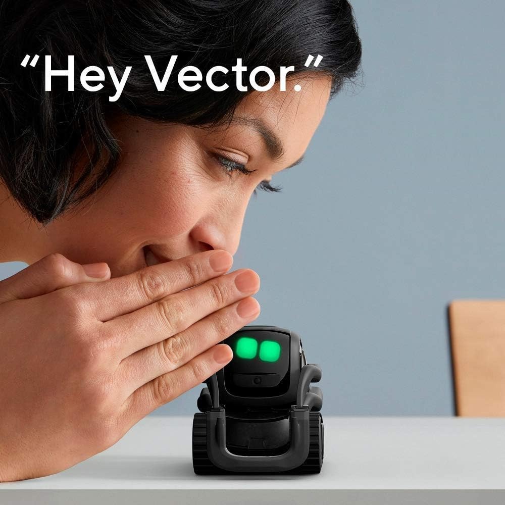 AI ChatGPT 2.0 Verbonden Robot - Smart Home Robot recensie en prijs
