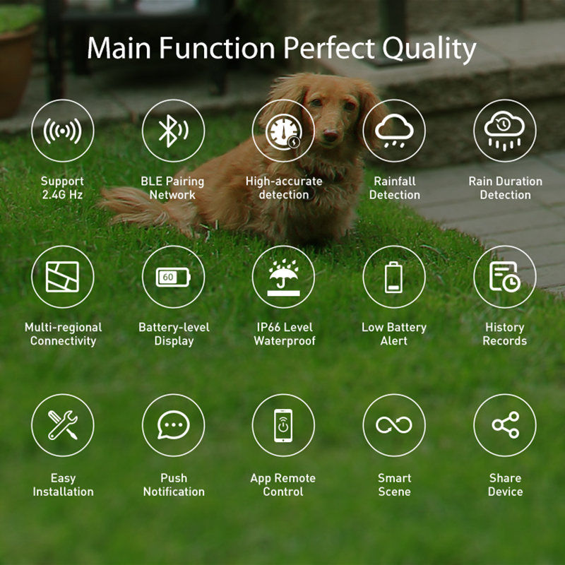 WiFi-regensensor Detectie van  - Smart Home Outdoor recensie en prijs