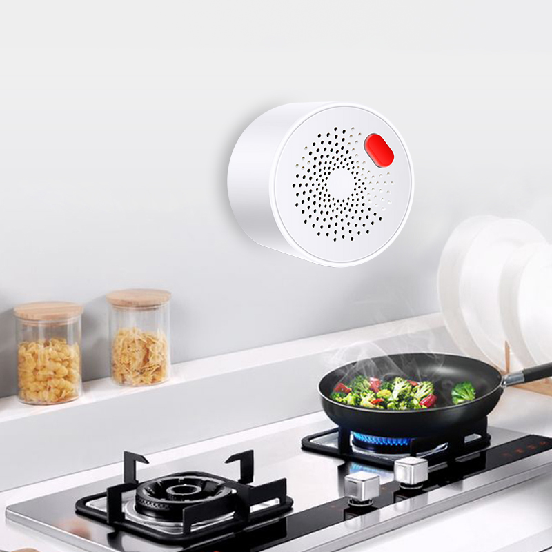 Tuya Smart Home Wifi Aardgas S - Smart Home Outdoor recensie en prijs