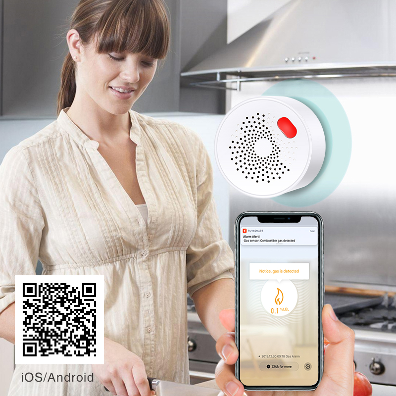 Tuya Smart Home Wifi Aardgas S - Smart Home Outdoor recensie en prijs